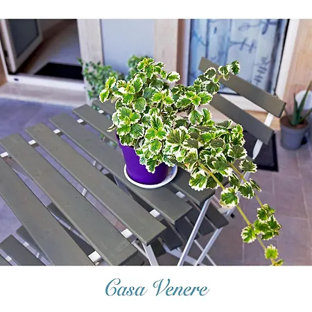 Πανσιόν Casa Venere